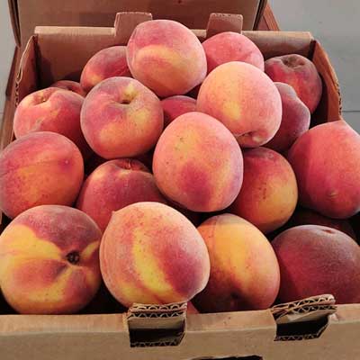 Peaches