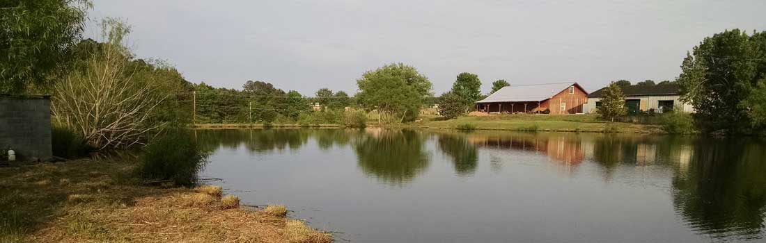 Spring lake