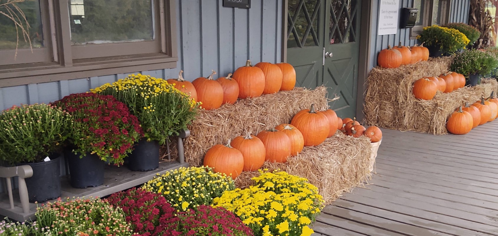 Pumpkins and Plants