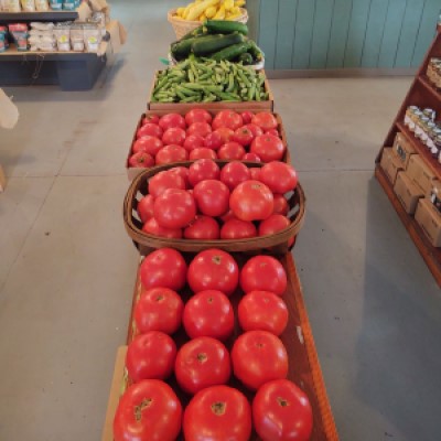 Produce Tomatoes